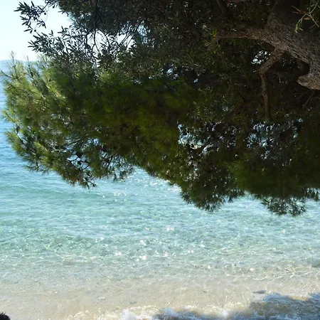 Penzion With A View *