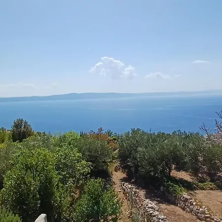 With A View